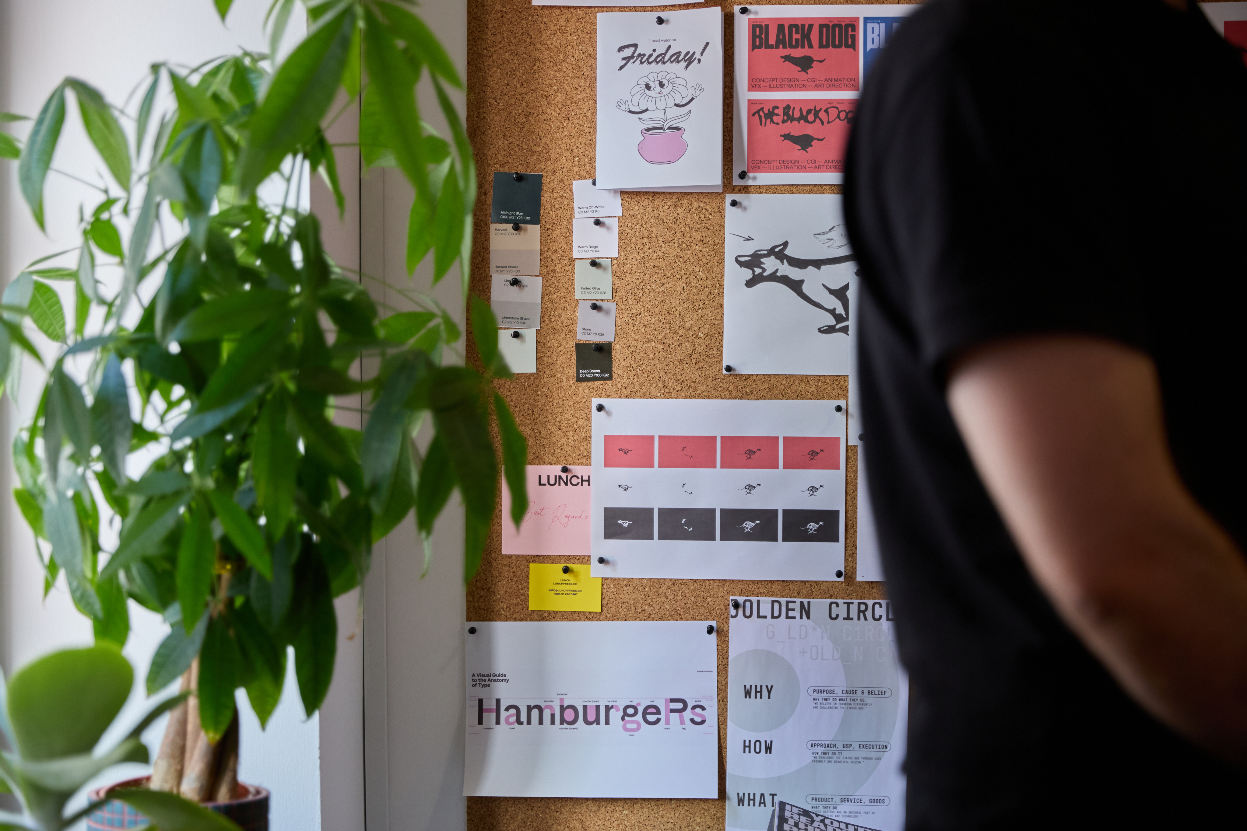 Kenshō team at work